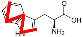 The W in tryptophan